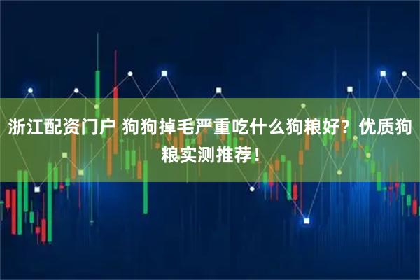 浙江配资门户 狗狗掉毛严重吃什么狗粮好？优质狗粮实测推荐！